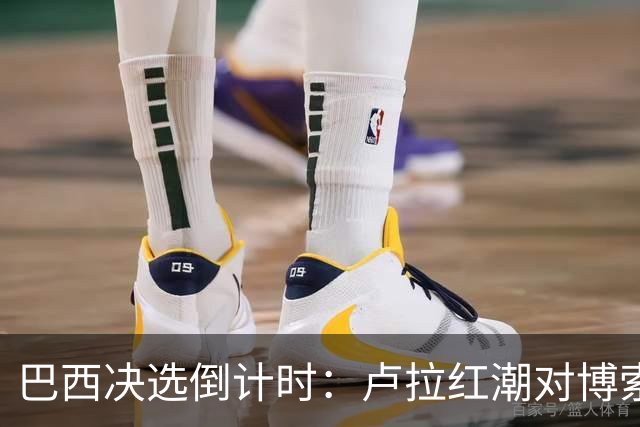 巴西决选倒计时：卢拉红潮对博索纳罗黄绿，双城对垒